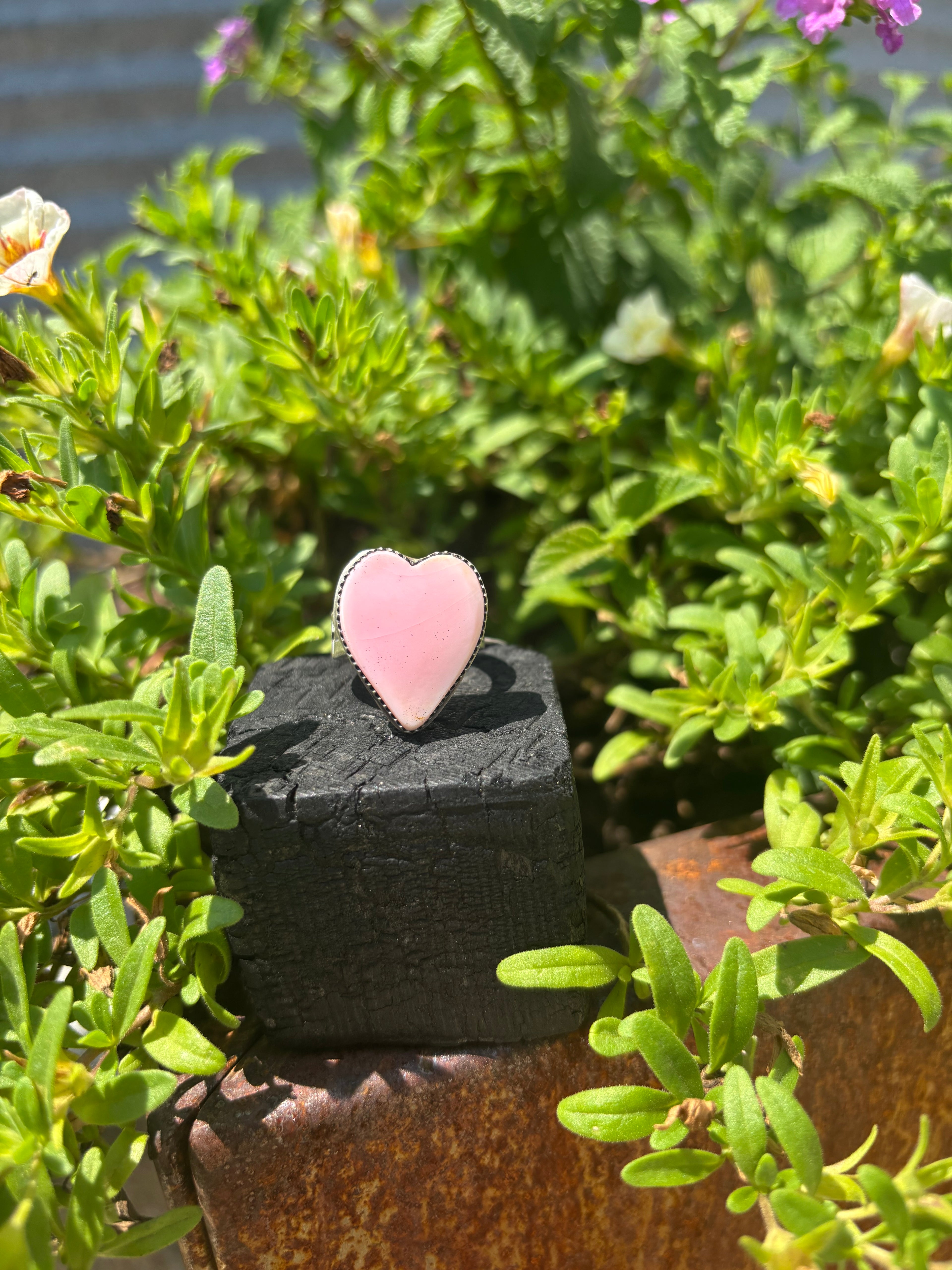 Love Bomb 5