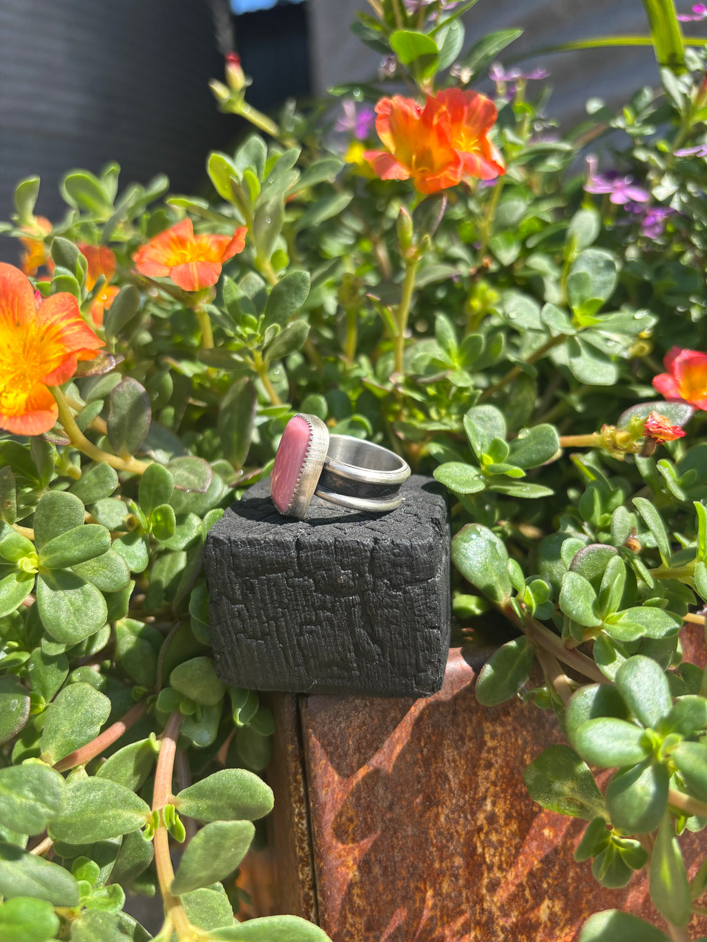 Desert Blush 6