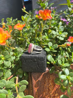 Desert Blush 6