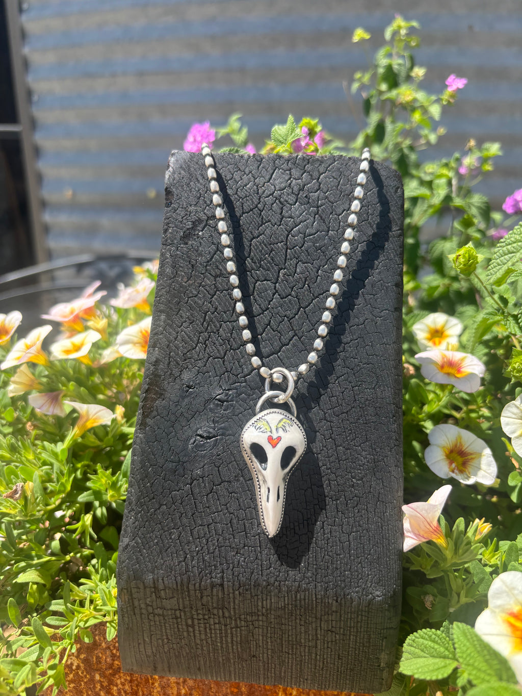 Lovebird Skull