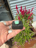 Desert Mint 5.5 ring with soft minty Royston turquoise set in double band sterling silver