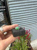Lucky ring size 4 featuring a small Bella Sierra turquoise cabochon with vibrant green and blue hues set in sterling silver