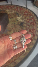 Lovebird Skull